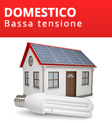 domestico